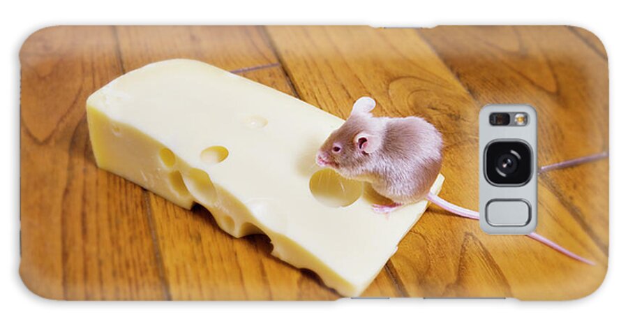 Excess Galaxy Case featuring the photograph Mouse On Cheese by Conceptual Images/science Photo Library