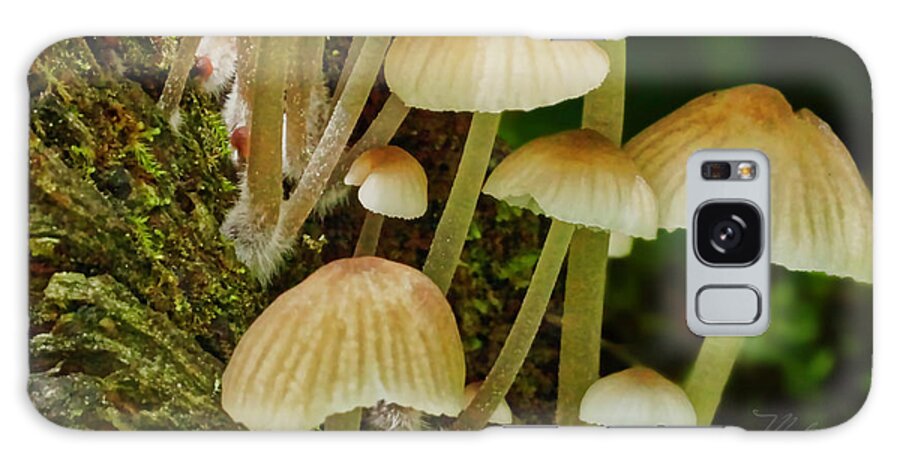 Macro Photography Galaxy S8 Case featuring the photograph Mushrooms by Meta Gatschenberger