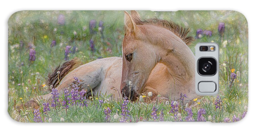 Wild Mustangs Galaxy Case featuring the photograph Wild Mustang Foal in the Wildflowers by Marcy Wielfaert