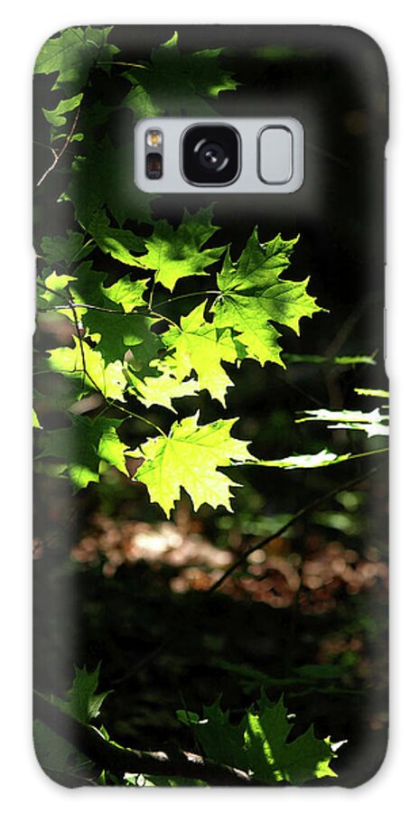 Natural Detail 8 Galaxy Case featuring the photograph Natural Detail 8 by Cw Hetzer