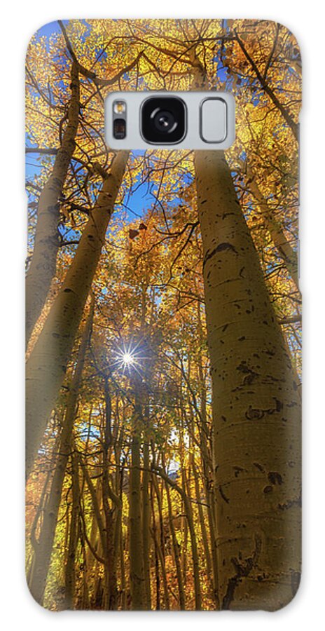 Gold Galaxy Case featuring the photograph Natures Gold by Tassanee Angiolillo