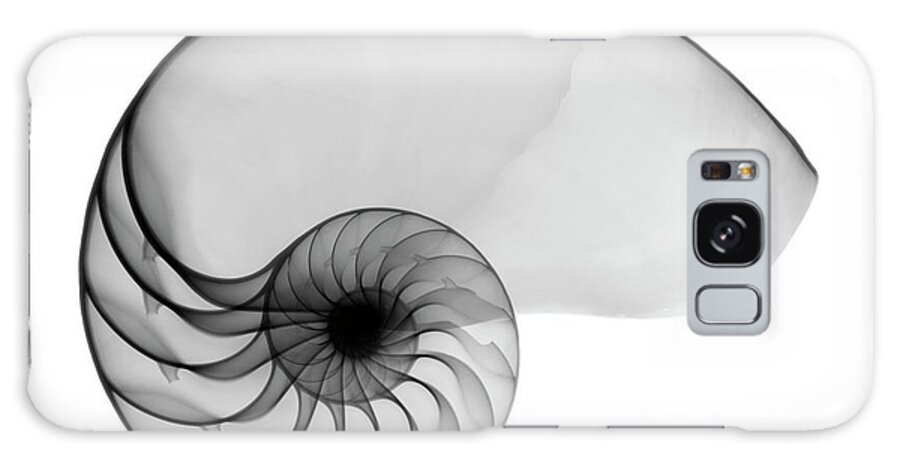 X-ray Of Nautilus Shell Galaxy Case featuring the photograph Nautilus Shell Lite X-ray by Bert Myers