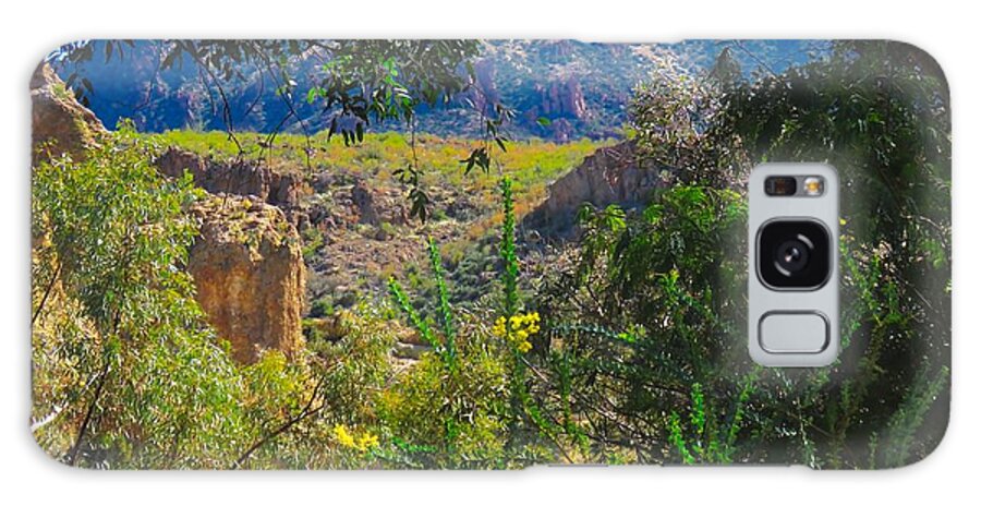 Arboretum Galaxy Case featuring the photograph Near Picketpost Mountain in Arizona by Judy Kennedy