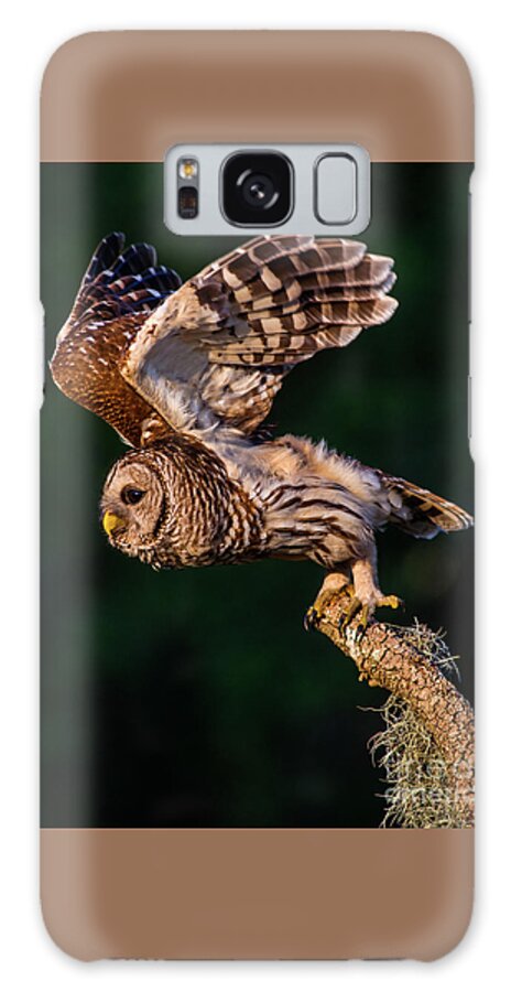 Barred Owl Galaxy Case featuring the photograph Off for the Hunt by Jane Axman
