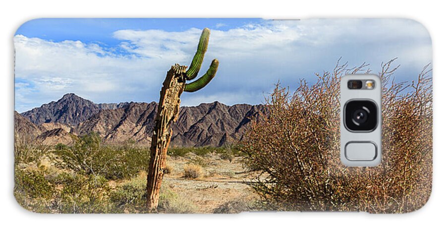 Cacti Galaxy Case featuring the photograph Old Cactus On The Sonoran Desert by Robert Bales