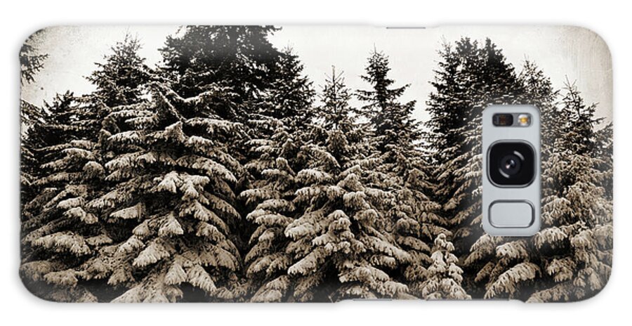 Old Growth
Trees Galaxy Case featuring the digital art Old Growth by Tina Lavoie