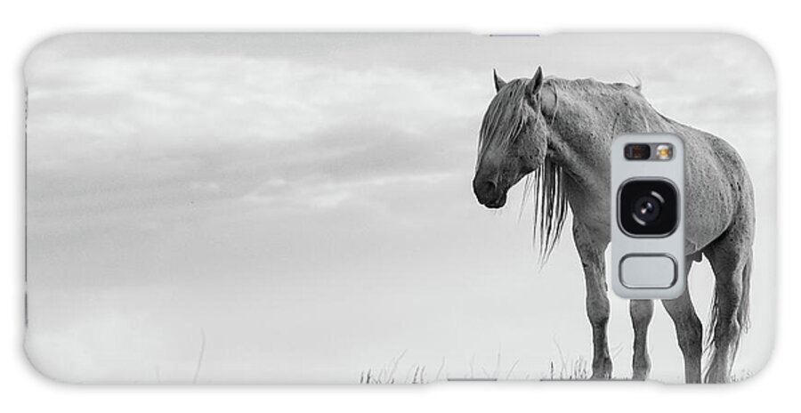 Wild Horse Desert Black And White Equine Old Galaxy Case featuring the photograph Old Man by Dirk Johnson