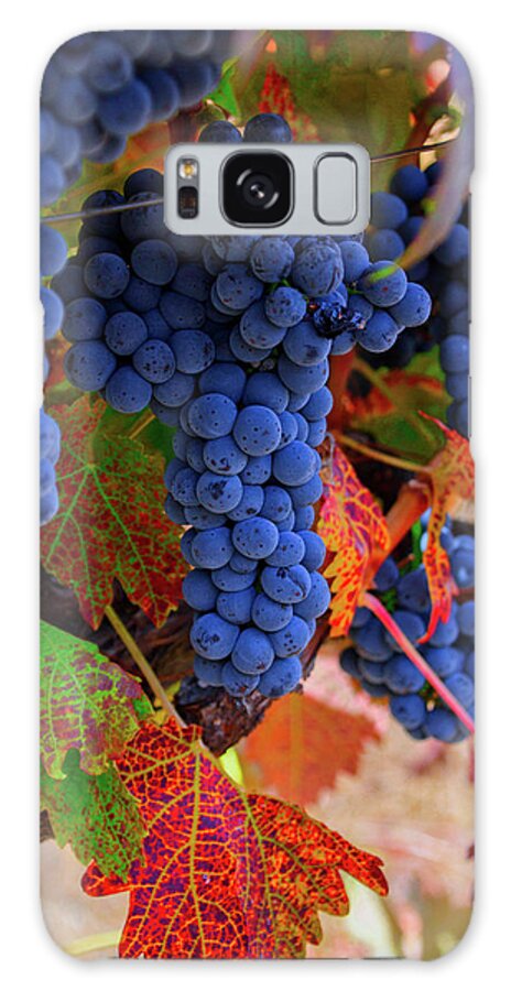 Vine Galaxy Case featuring the photograph On the Vine II by Steph Gabler