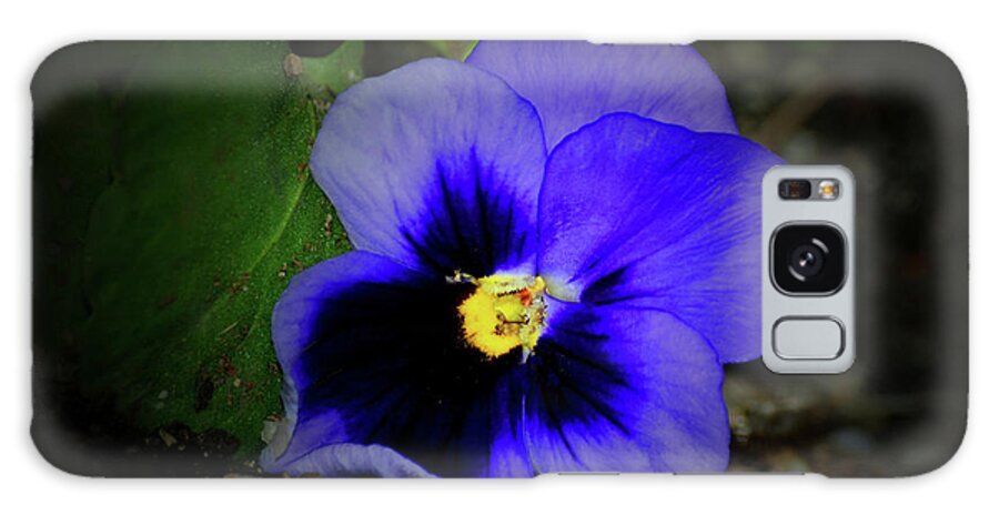 Pansy Galaxy Case featuring the photograph One Purple Pansy by Constance Lowery