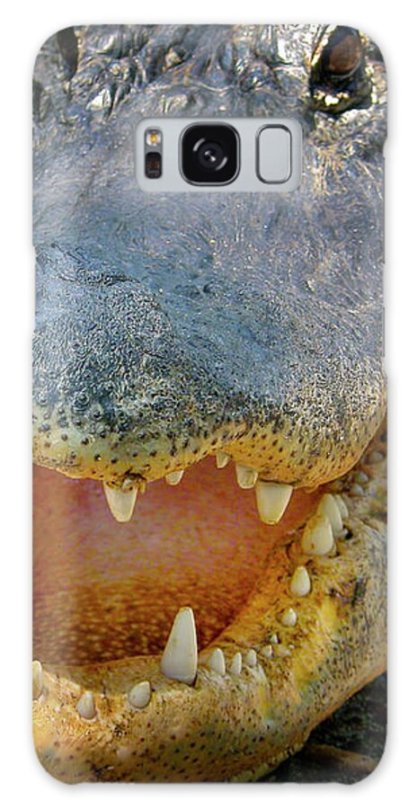 Alligator Galaxy Case featuring the photograph Open Wide by Mark Andrew Thomas