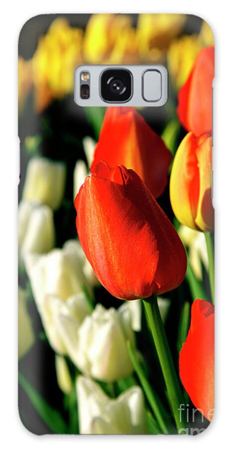 Denise Bruchman Photography Galaxy Case featuring the photograph Orange Yellow and White Tulips by Denise Bruchman