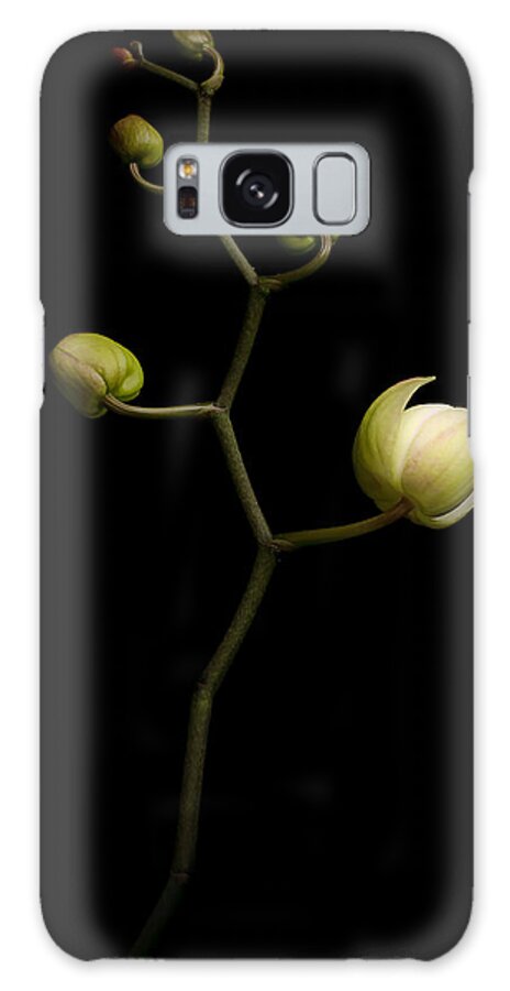 Belgium Galaxy Case featuring the photograph Orchid Flower Blooming by Acperona