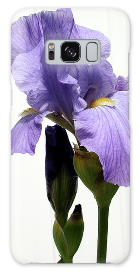 Orchid Galaxy Case featuring the mixed media Orchid by Karen Williams