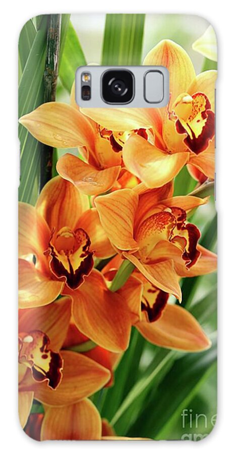 Orchids Galaxy Case featuring the photograph Orchids by Terri Brewster
