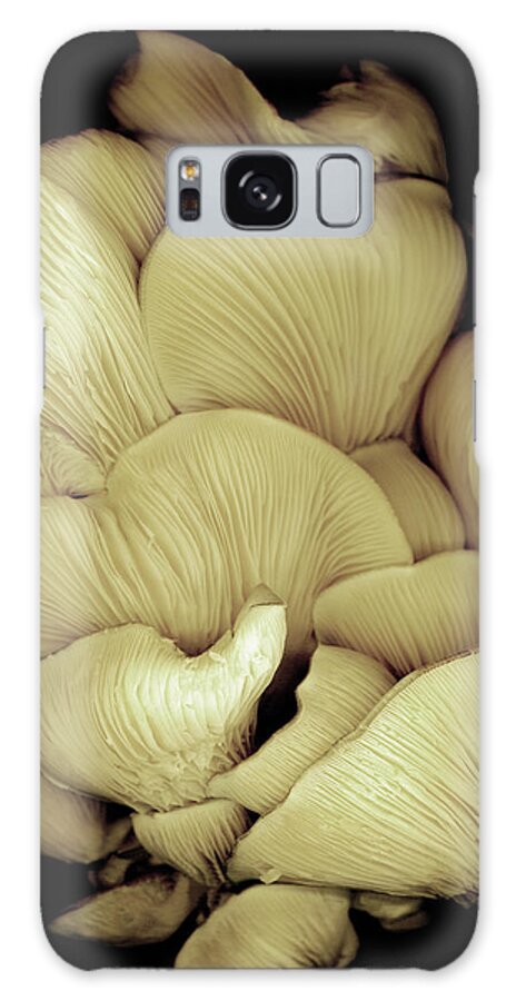 Oyster Mushrooms Galaxy Case featuring the painting Oyster Mushrooms by Susan S. Barmon