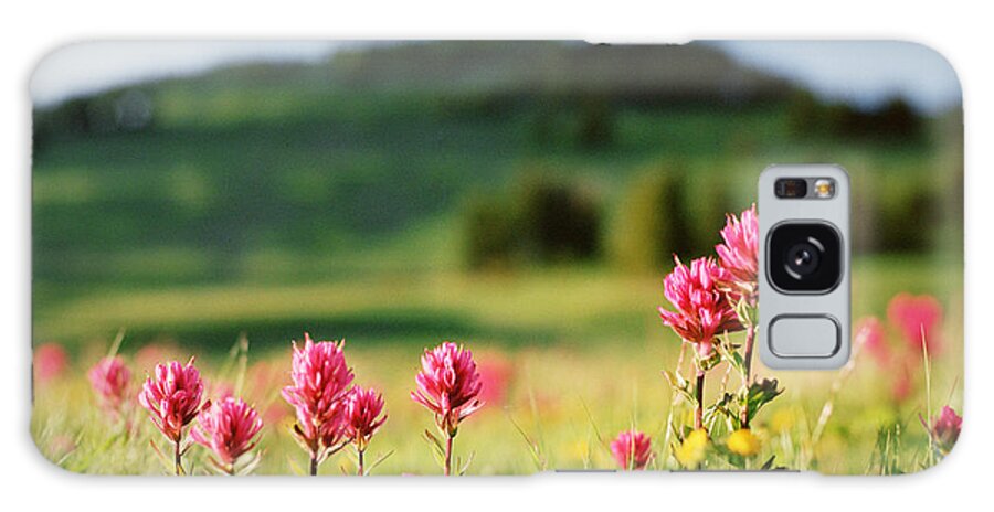 Tranquility Galaxy Case featuring the photograph Paintbrush Wildflowers At Mt. Rainier by Danielle D. Hughson