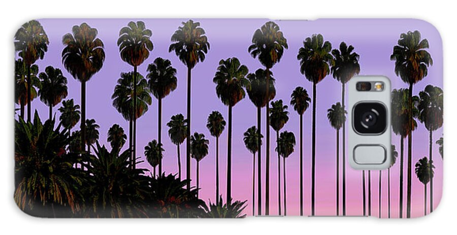 Palm Trees Galaxy Case featuring the painting Palm Trees, Palm Haven, San Jose, California by David Arrigoni