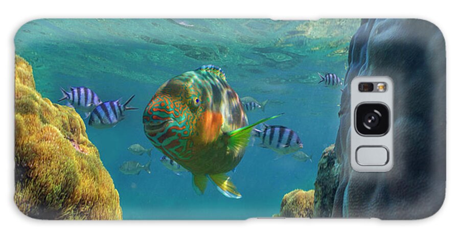 00586437 Galaxy Case featuring the photograph Parrotfish And Sergeant Major Damselfish And Coral, Apo Island, Philippines by Tim Fitzharris