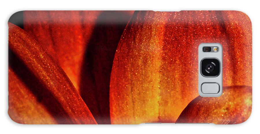 Macro Photography Galaxy Case featuring the photograph Peach Petals by Meta Gatschenberger