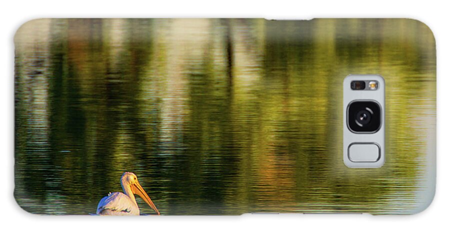American White Pelican Galaxy Case featuring the photograph Pelican In Sunlight by John De Bord