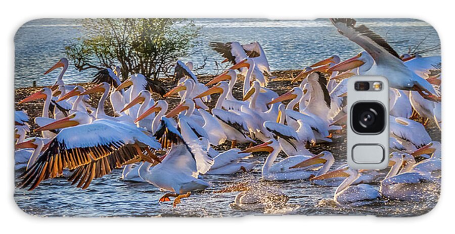 Pelicans. Pelican Galaxy Case featuring the photograph Pelican Island by David Wagenblatt