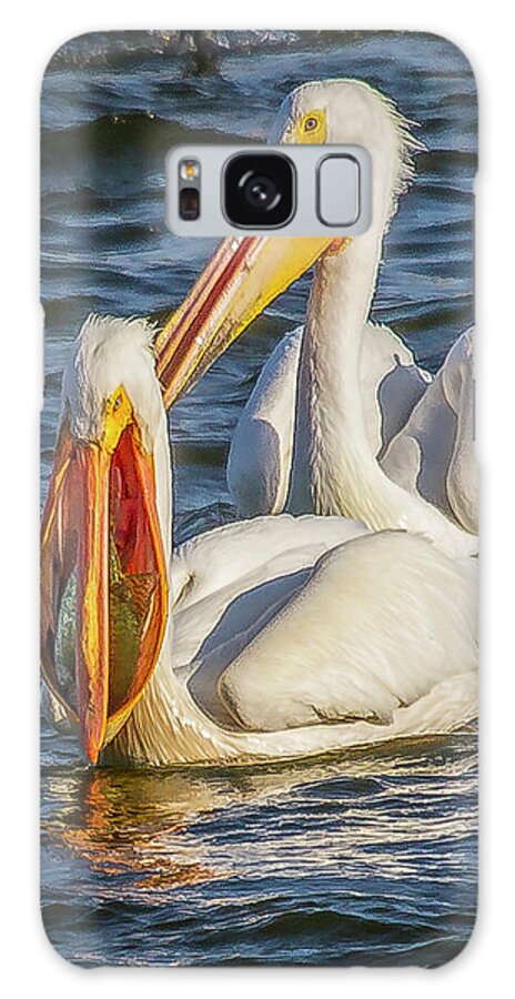 Pelicans Galaxy Case featuring the photograph Pelican with Crappie by David Wagenblatt