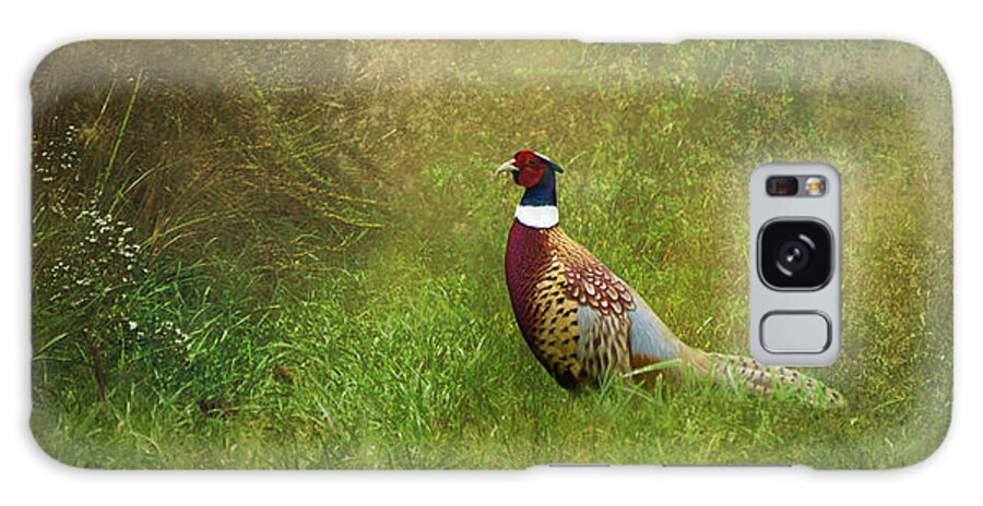 Pheasant Galaxy Case featuring the photograph Pheasant by Randall Allen