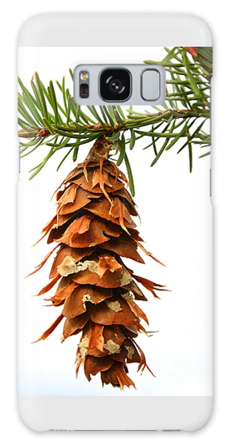 Douglas Fir Galaxy Case featuring the photograph Pine cone sap tree branch by Robert C Paulson Jr