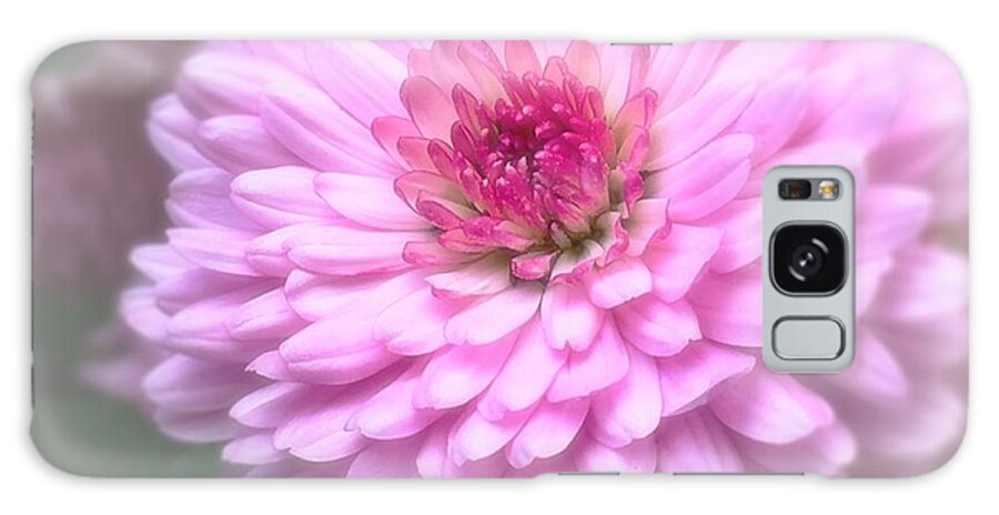 Flowers Galaxy Case featuring the photograph Pink Mums in Bloom by Lisa Pearlman