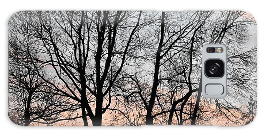 Trees Galaxy Case featuring the photograph Pink Sky by Cassidy Marshall