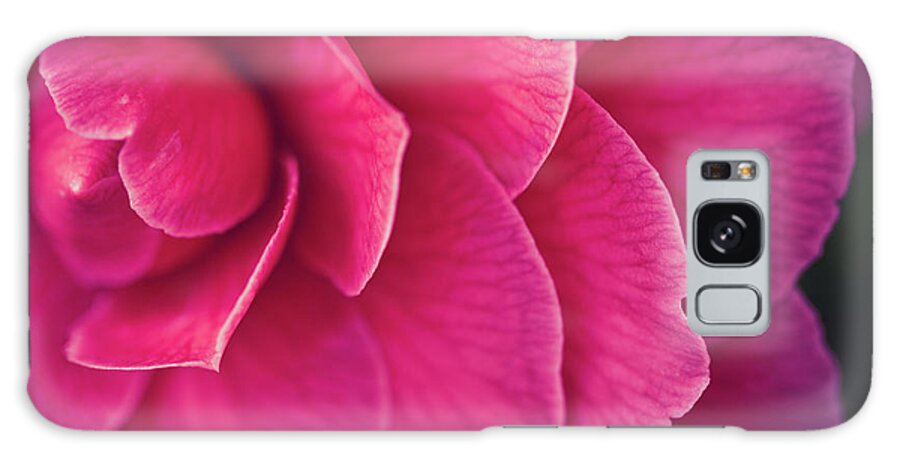 Petal Galaxy Case featuring the photograph Pinkalicious by Laura Santos Photography