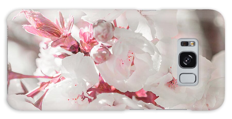 Pinky Blossom 3 Galaxy Case featuring the photograph Pinky Blossom 3 by Lightboxjournal
