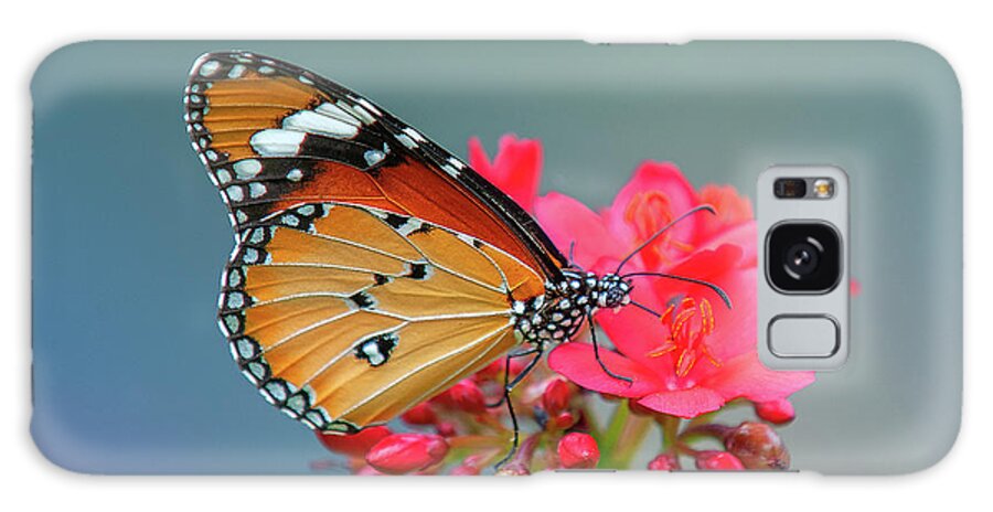 Bangkok Galaxy Case featuring the photograph Plain Tiger or African Monarch Butterfly DTHN0246 by Gerry Gantt