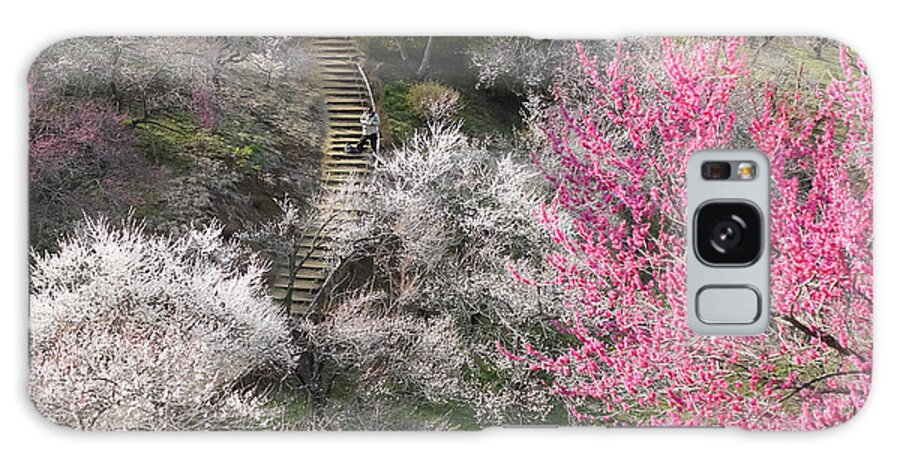 Tranquility Galaxy Case featuring the photograph Plum Blossoms by Kuroaya