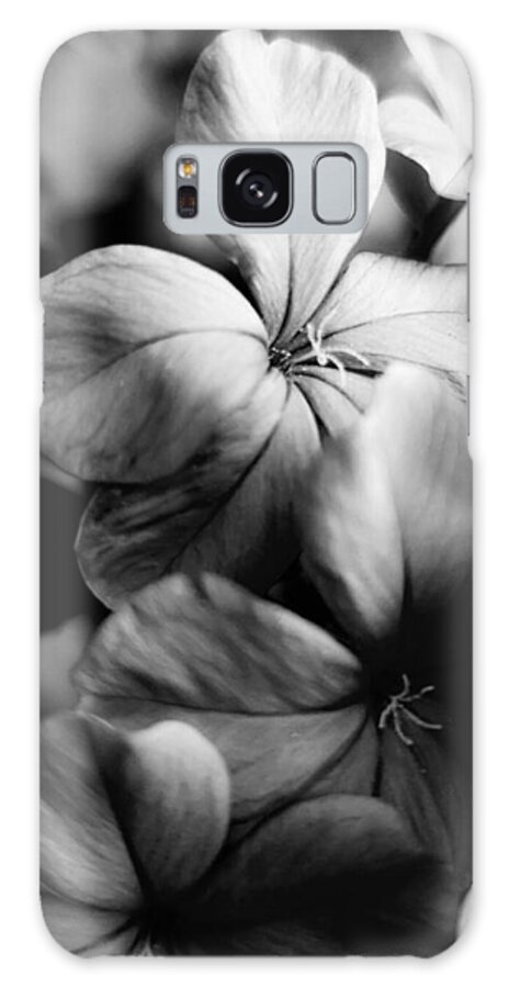 Floral Galaxy Case featuring the photograph Plumbago BW by Alexis King-Glandon