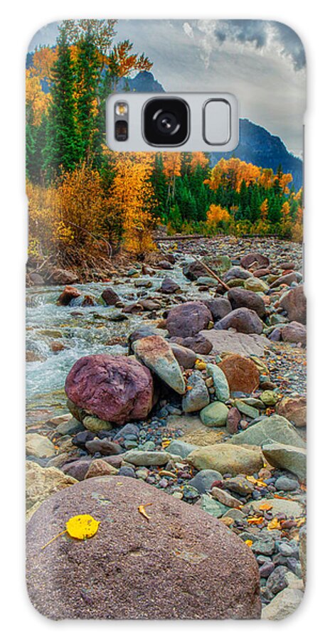 Colorado Galaxy S8 Case featuring the photograph Point Of Color by Tom Gresham