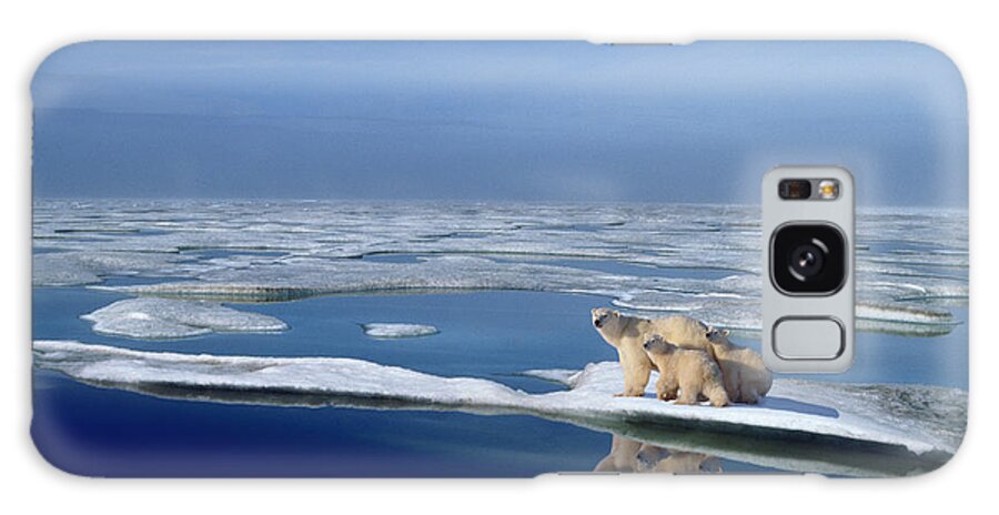 Bear Cub Galaxy Case featuring the photograph Polar Bear Mother Ursus Maritimus And by Johnny Johnson