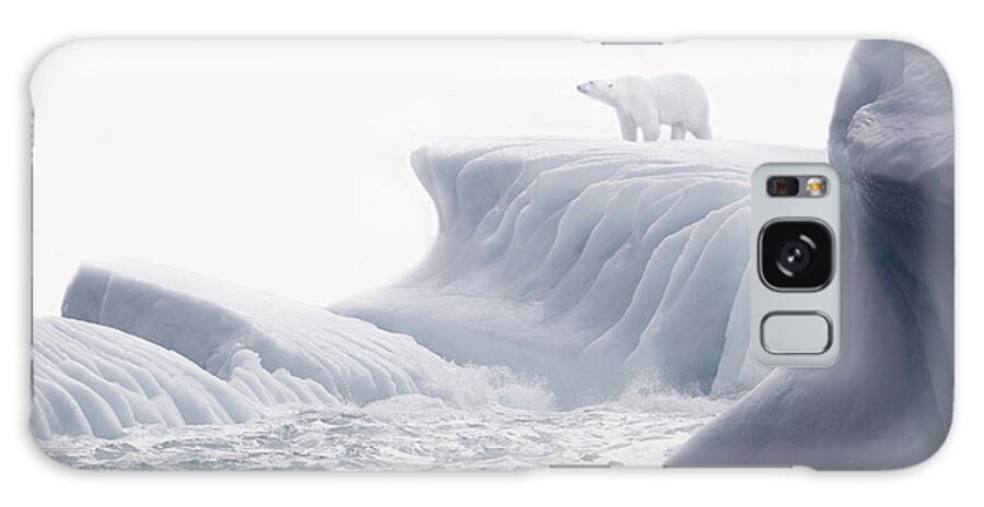 Scenics Galaxy Case featuring the photograph Polar Bear Standing On Ice Flow by Grant Faint