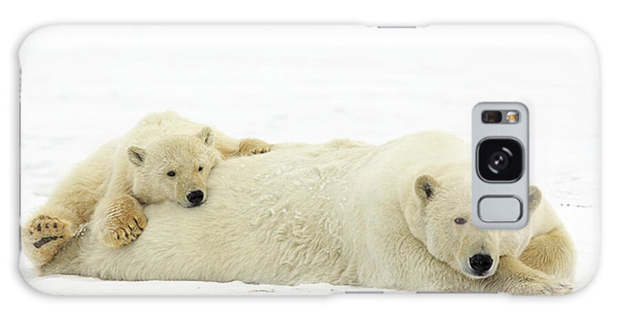 Snow Galaxy Case featuring the photograph Polar Bear With Young by P. De Graaf