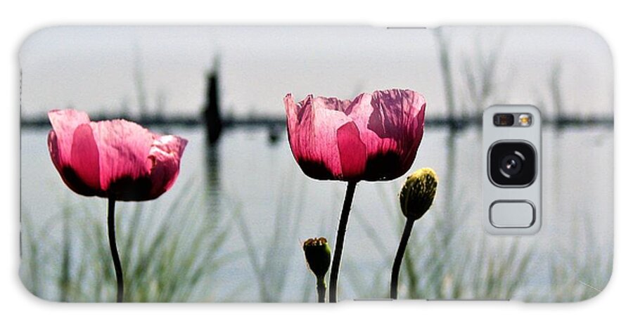 Water View Galaxy S8 Case featuring the photograph Poppies on Lake Mulwala 2 by Joan Stratton