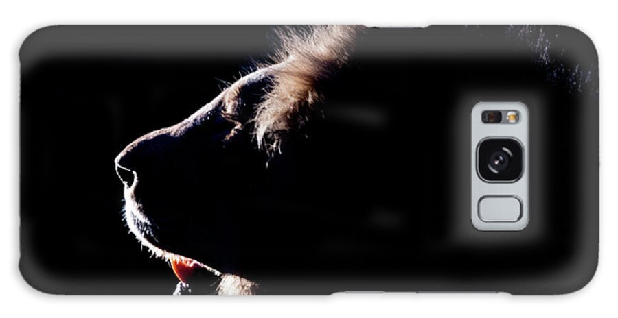 Lion Galaxy S8 Case featuring the photograph Portrait of a backlit male african lion by Mark Hunter