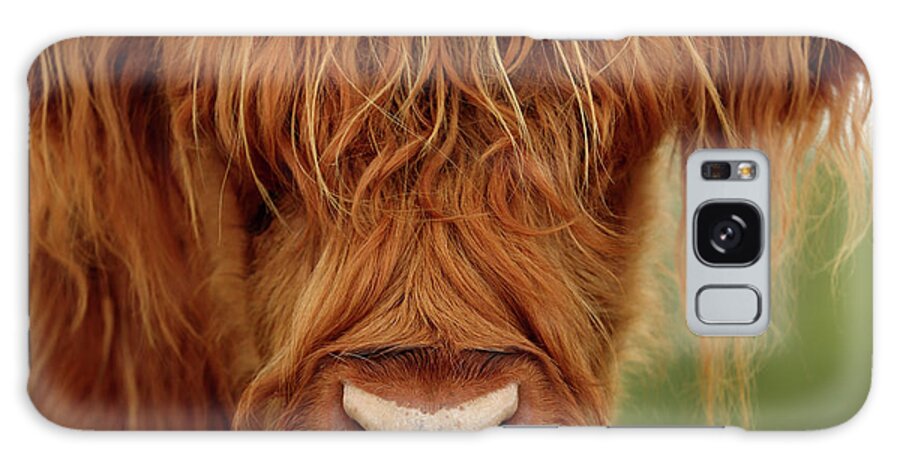 Highland Cow Galaxy S8 Case featuring the photograph Portrait of a Highland Cow by Maria Gaellman