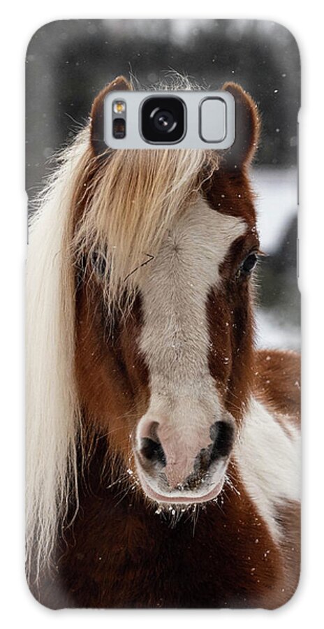 Horse Galaxy Case featuring the photograph Portrait of a Pony by Jody Partin