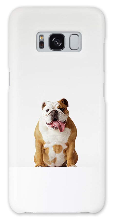 Pets Galaxy Case featuring the photograph Portrait Of British Bulldog Sitting by Compassionate Eye Foundation/david Leahy