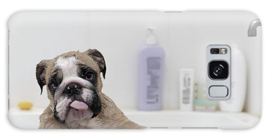 English Bulldog Galaxy Case featuring the photograph Portrait Of English Bulldog Sticking Out Tongue While Standing In Bathtub Against Wall At Home by Cavan Images