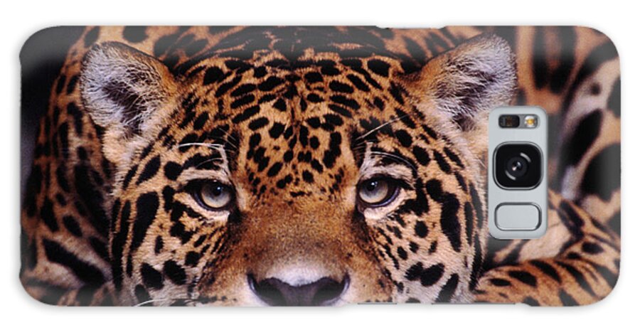 Latin America Galaxy Case featuring the photograph Portrait Of Jaguar, Brazil by Mark Newman