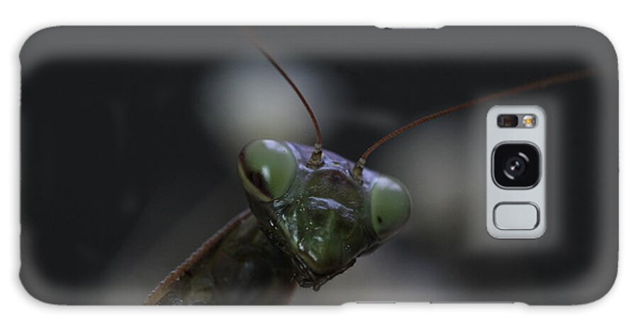 Mantis Galaxy Case featuring the photograph Praying mantis by Martin Smith