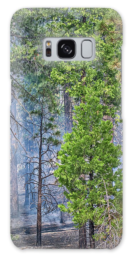 Forest Galaxy Case featuring the photograph Prescribed Fire in Sequoia Park by Lucia Vega