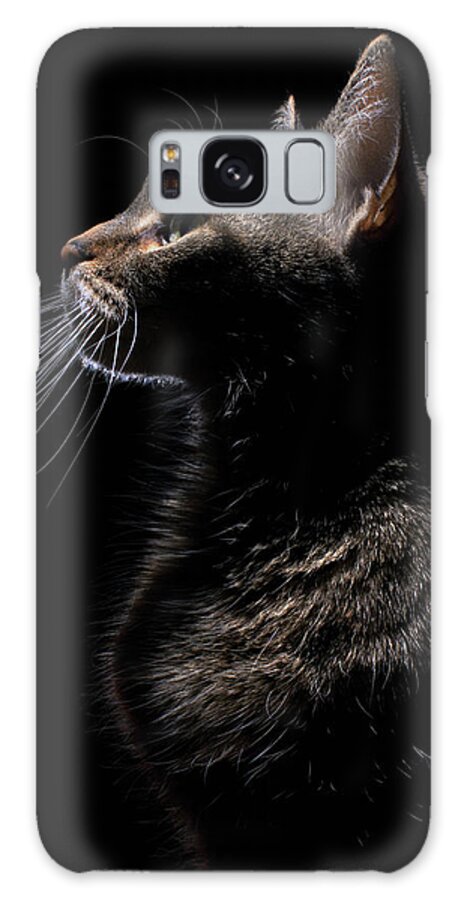 Pets Galaxy Case featuring the photograph Profile Of A Cat by Nina Pearman