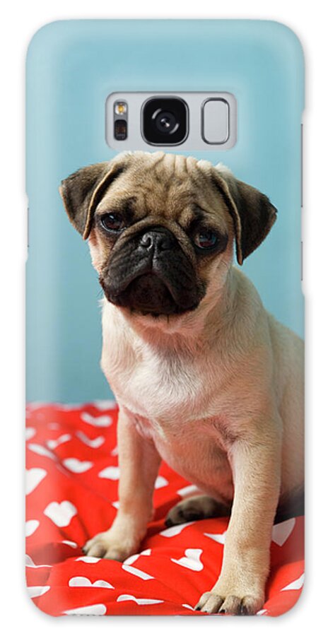 Pets Galaxy Case featuring the photograph Pug Puppy Sitting On Bed by Reggie Casagrande